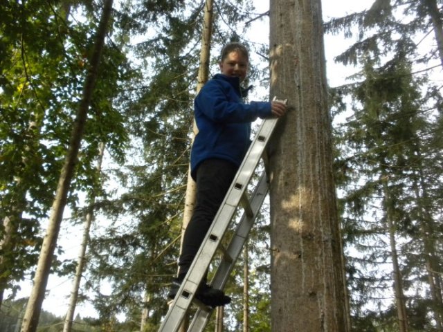 Nistkästen für Fledermäuse